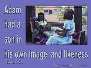 Genesis 5:3